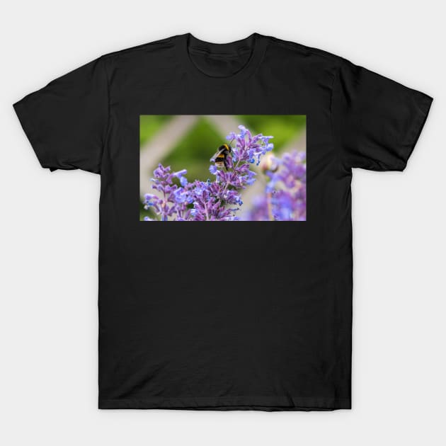 Bumble Bee collecting pollen T-Shirt by Russell102